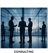 Business technology consulting